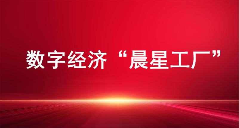 裕航合金、長(zhǎng)壽花食品入選山東省首批數(shù)字經(jīng)濟(jì)“晨星工廠”