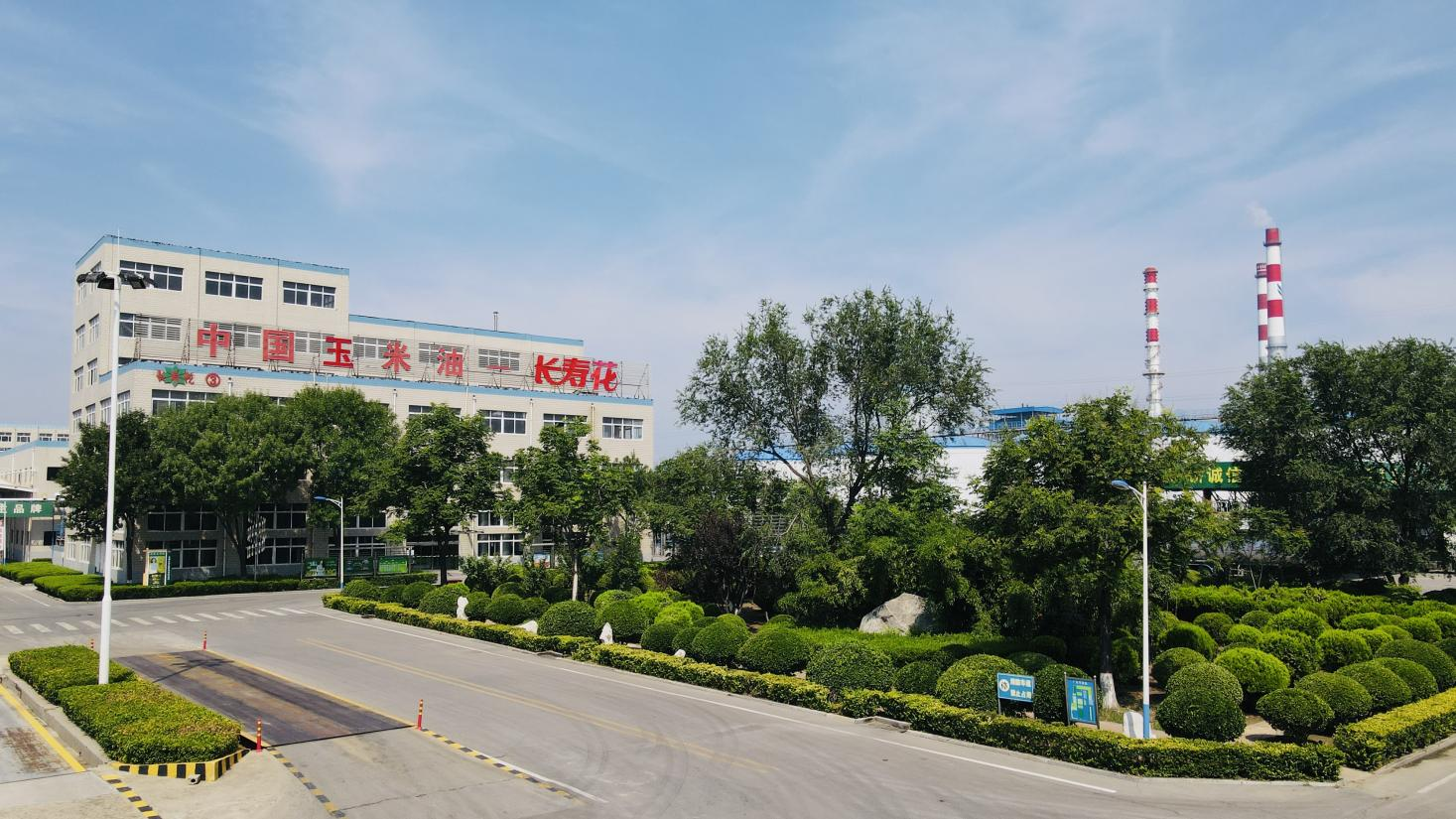 創(chuàng)新驅(qū)動 產(chǎn)權(quán)護(hù)航|長壽花食品通過知識產(chǎn)權(quán)管理體系監(jiān)督審核